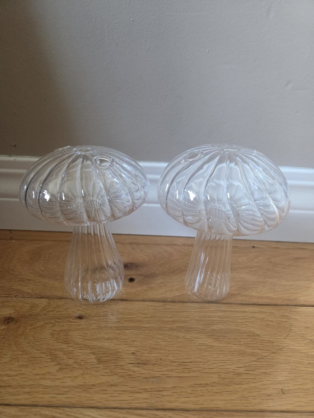 Pair Of Clear Glass Mushroom Propagation Vases